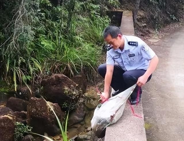 男子家门口看到巨蟒吞一块黑布图5