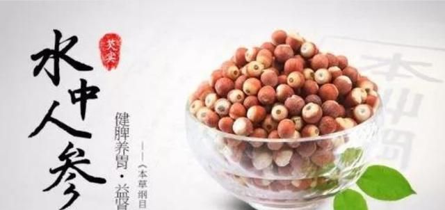 芡实有什么药效,芡实不能与什么同时食用图1