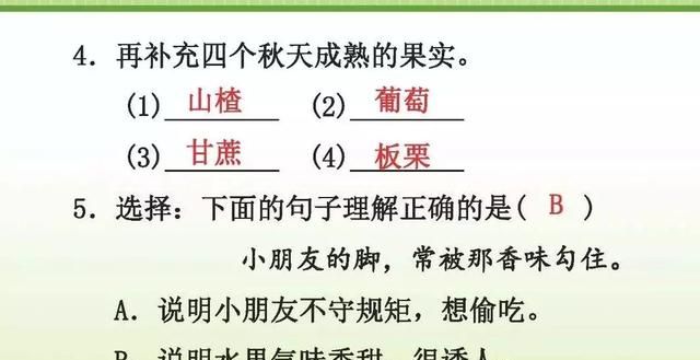 三年级语文上册第六课《秋天的雨》图11