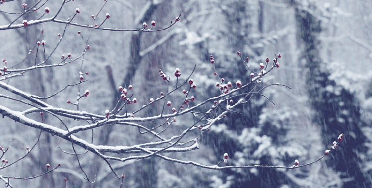 雪是怎么形成的,雪是怎么形成的物理图2