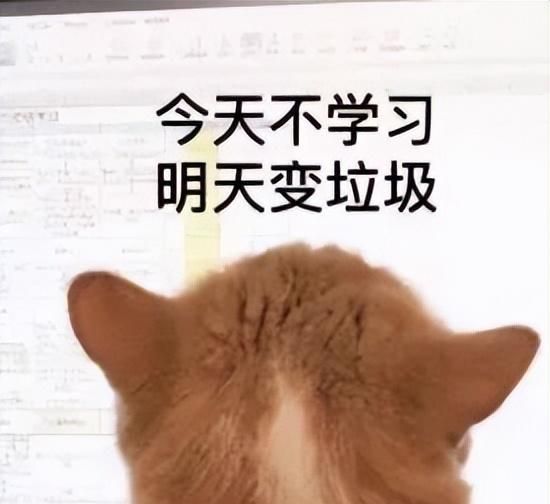 文盲小猫咪错把辣条当猫条，嘶哈嘶哈，皮燕子差点冒火…图33