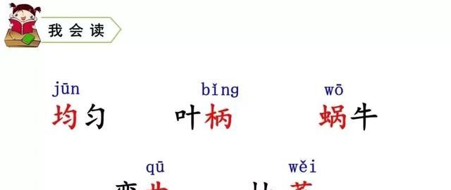 知识点+同步练习题 部编版四年级语文上册 10 爬山虎的脚图4