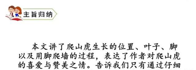 知识点+同步练习题 部编版四年级语文上册 10 爬山虎的脚图17