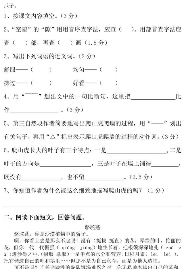 知识点+同步练习题 部编版四年级语文上册 10 爬山虎的脚图20