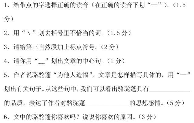 知识点+同步练习题 部编版四年级语文上册 10 爬山虎的脚图21