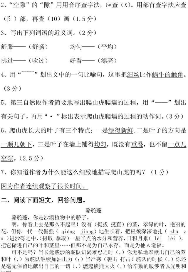 知识点+同步练习题 部编版四年级语文上册 10 爬山虎的脚图24