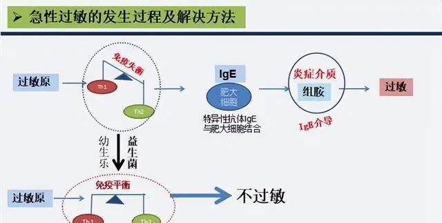 吃海鲜过敏最快的解决办法(请问多吃海鲜皮肤会过敏吗)图2