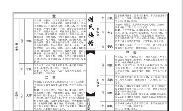 家族人物传记怎么写,家谱人物传记白话范文图3