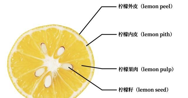 经常喝柠檬水对身体有没有影响,长期喝两杯柠檬水的好处与坏处图4