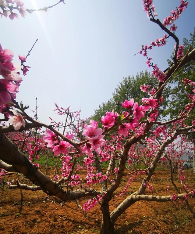 北京平谷桃花海旅游攻略(平谷跑山最佳路线图)图3