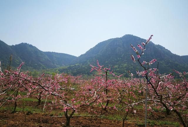 北京平谷桃花海旅游攻略(平谷跑山最佳路线图)图4