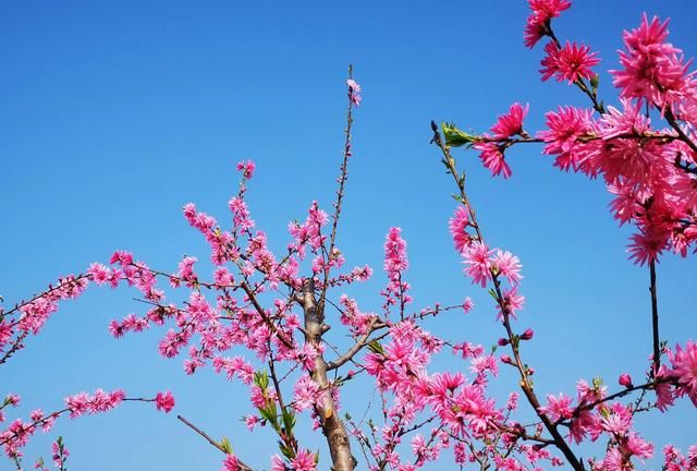 北京平谷桃花海旅游攻略(平谷跑山最佳路线图)图24