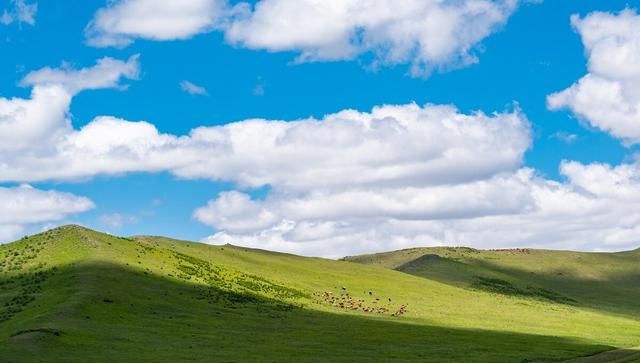 最适合去旅游的大草原是哪里(最美草原旅行记忆)图3