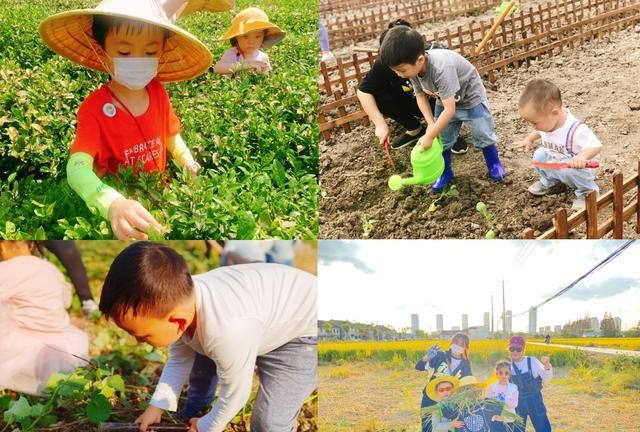 周末郊游去哪里?这里藏着一处绝美圣地英语图25