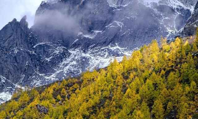 四姑娘山怎么玩,去四姑娘山怎么玩最好图19