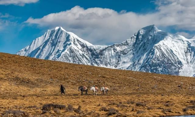 你还记得吗 什么的雪山图3