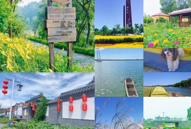 天津最佳踏青景点推荐(天津踏青景点)图8