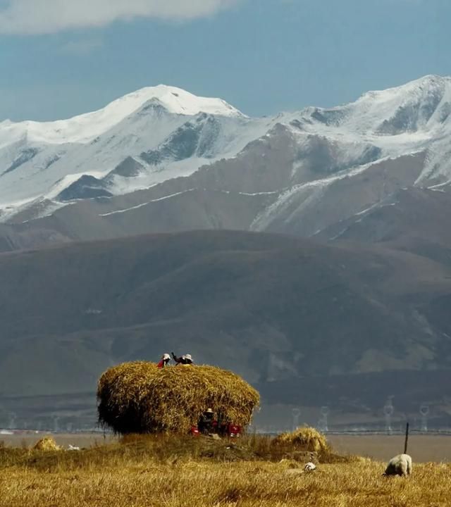 去甘肃玩的旅游攻略图59