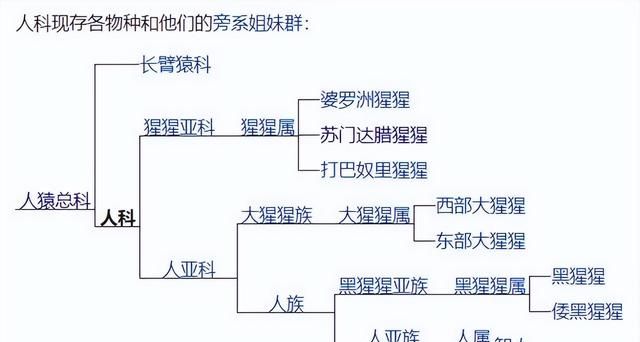 地球上第二聪明的动物是哪个(世界上第二聪明的动物是什么)图3