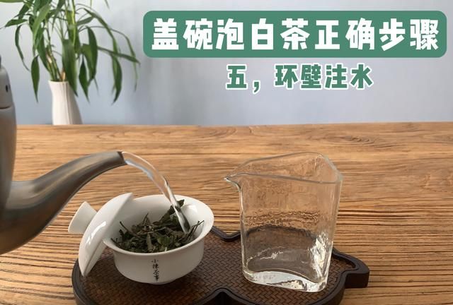 新手学泡茶5个步骤轻松搞定,快速提高泡茶水平的五个小技巧图7