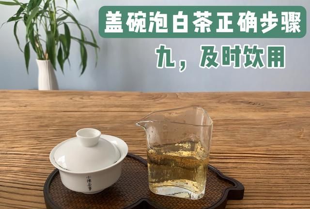 新手学泡茶5个步骤轻松搞定,快速提高泡茶水平的五个小技巧图11