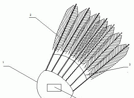 羽毛球由多少根羽毛组成,一个羽毛球有多少根羽毛?图1