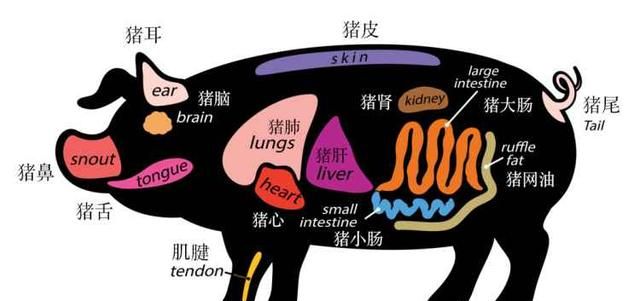 猪各个部位烹饪方法图2