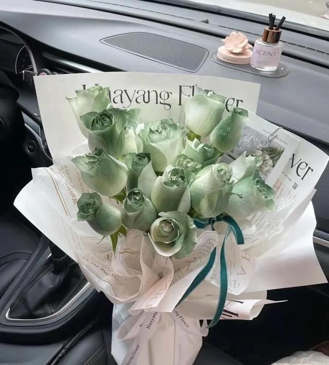 不同颜色玫瑰花代表的不同含义,老婆生日送什么颜色的玫瑰花好图25