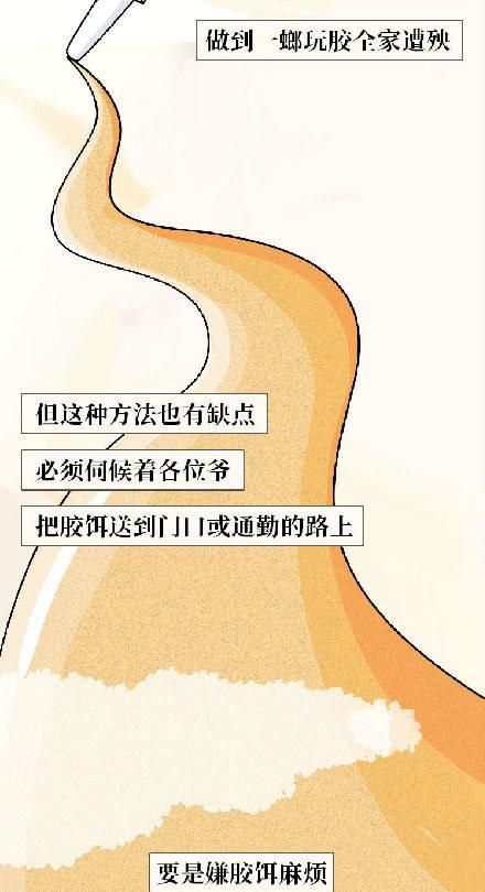 蟑螂危害多5个有效灭蟑螂的方法图18