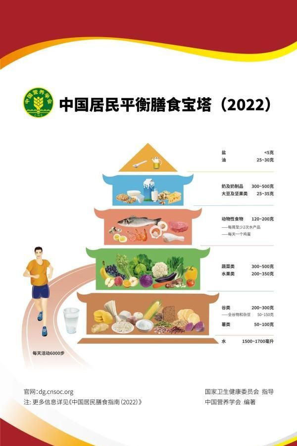 食物多样合理搭配(食物合理搭配技巧)图2