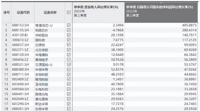 2021年半导体芯片基金,南昌兆驰半导体2023年留年政策图5