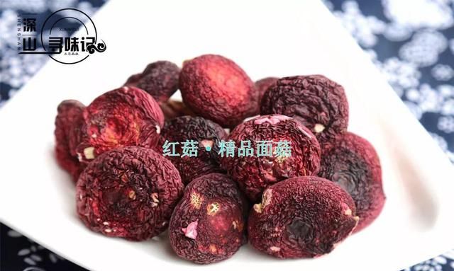 最好的野生菌菇品种,野生菌红菇是什么时候生长图13