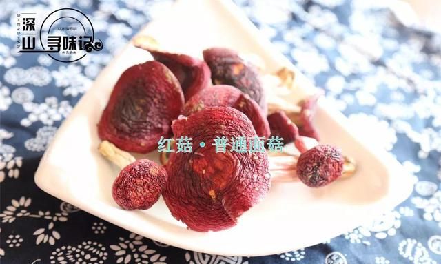 最好的野生菌菇品种,野生菌红菇是什么时候生长图15