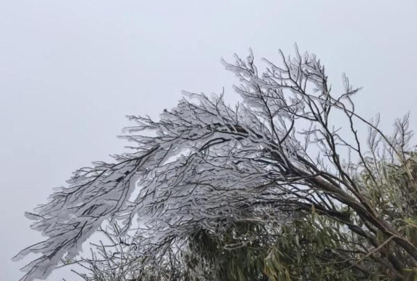 遵义冰雪海洋世界天气,遵义冰雪海洋世界门票多少钱图1