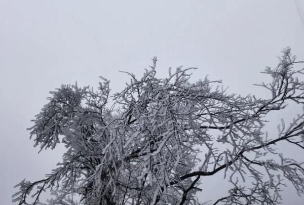 遵义冰雪海洋世界天气,遵义冰雪海洋世界门票多少钱图3