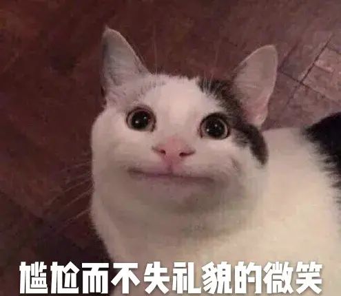 奇怪的知识增加了那只猫叫什么名字图22