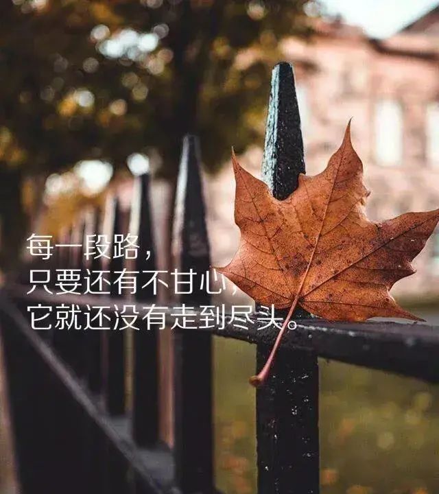 下雨天适合发朋友圈的心情说说图3