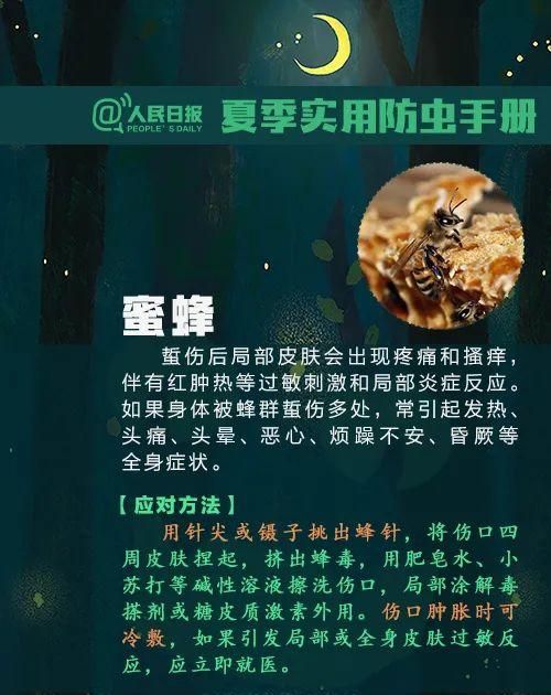 这种虫子毒液堪比硫酸图12