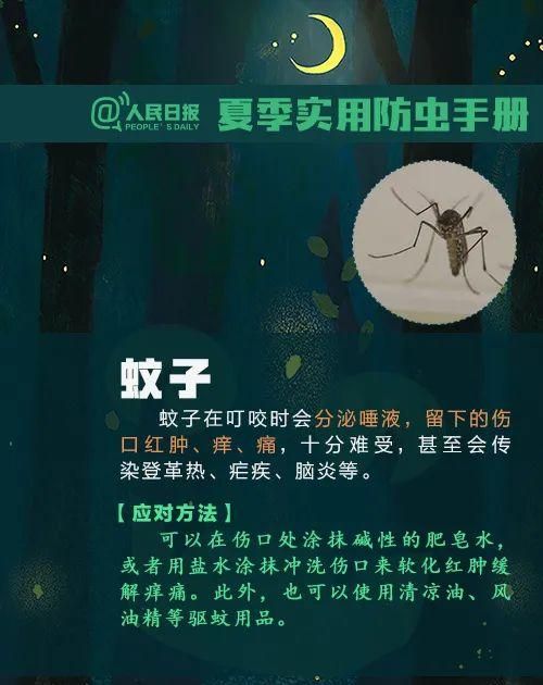 这种虫子毒液堪比硫酸图13