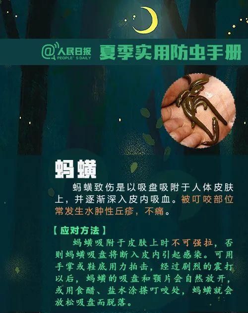 这种虫子毒液堪比硫酸图14