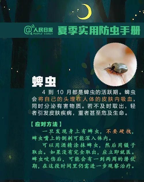 这种虫子毒液堪比硫酸图16