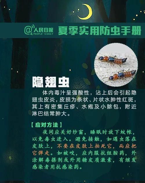 这种虫子毒液堪比硫酸图17