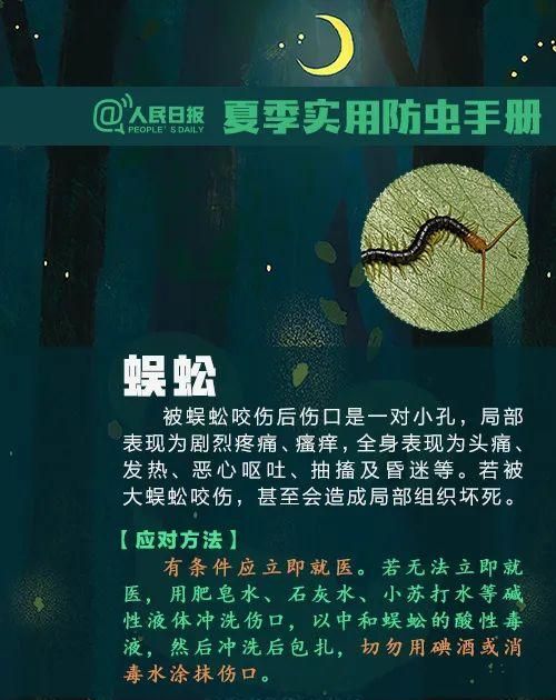 这种虫子毒液堪比硫酸图18