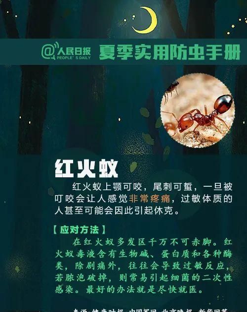 这种虫子毒液堪比硫酸图19