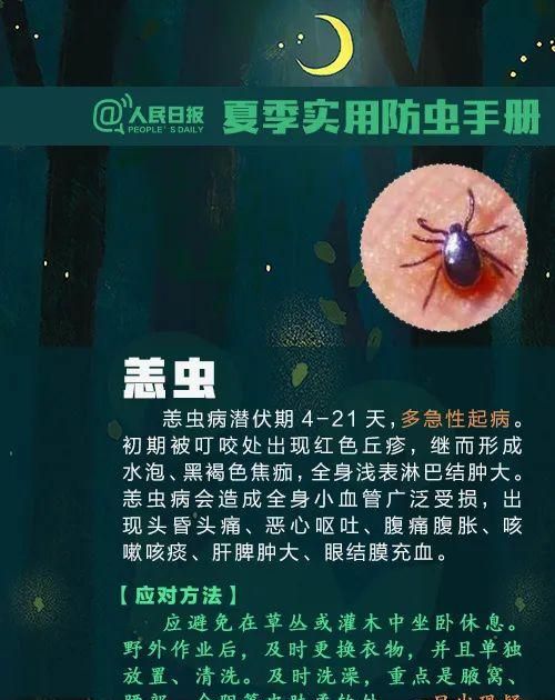 这种虫子毒液堪比硫酸图20