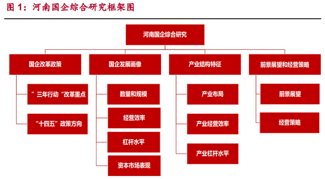 河南国企综合画像及策略研究：淡妆浓抹总相宜图2