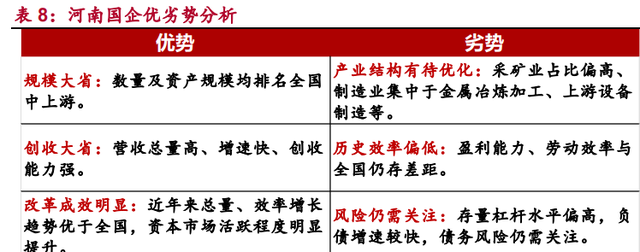 河南国企综合画像及策略研究：淡妆浓抹总相宜图39