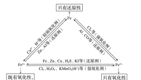 铁及其化合物,铁及其化合物笔记图9