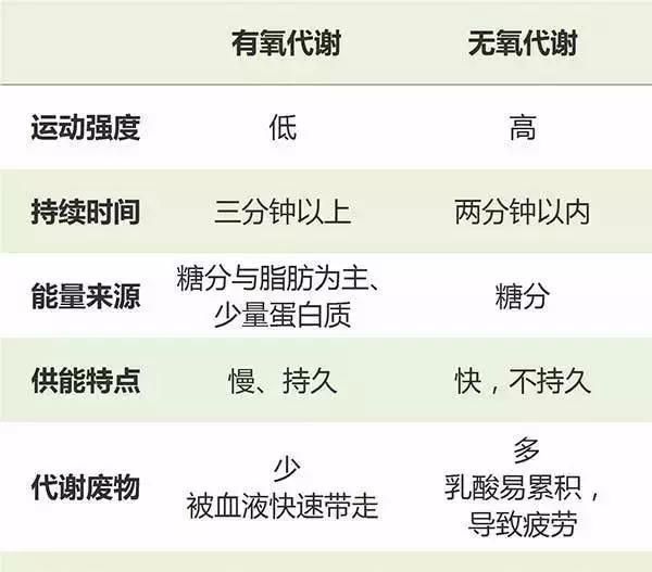 有氧 vs. 无氧运动,你该怎么选择图3