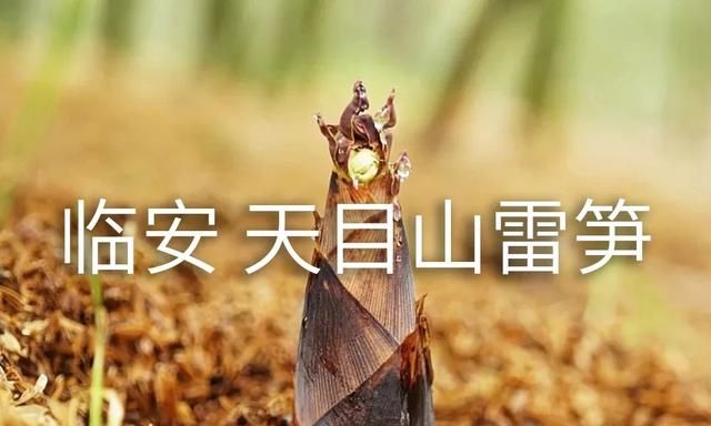 苹果怎么算好吃?脆嫩酸甜有溏心蛋的味道图25